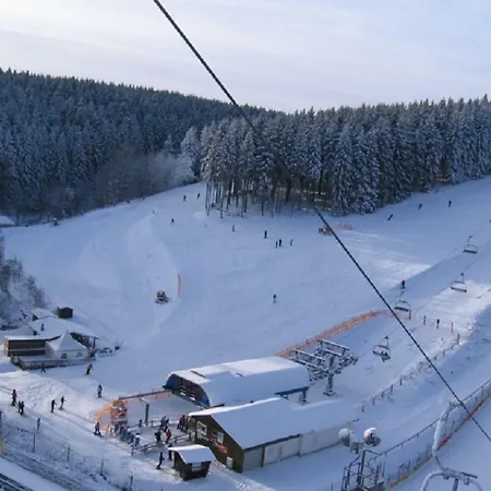 Beautiful Near Neuastenberg Near Ski Area *