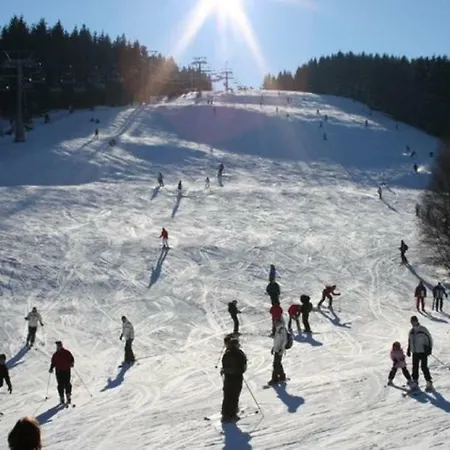 Beautiful Near Neuastenberg Near Ski Area